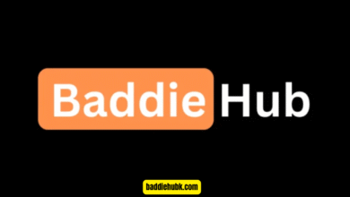 baddiehub.com