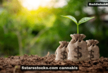 5starsstocks.com cannabis