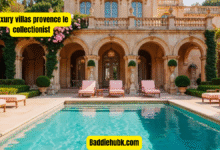 luxury villas provence le collectionist