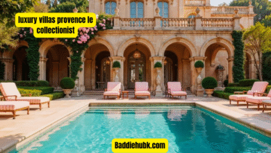 luxury villas provence le collectionist