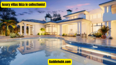 luxury villas ibiza le collectionist