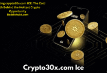 crypto30x.com ice