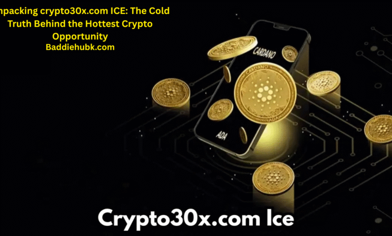 crypto30x.com ice
