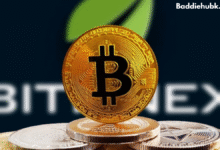 crypto30x.com bitcoin price