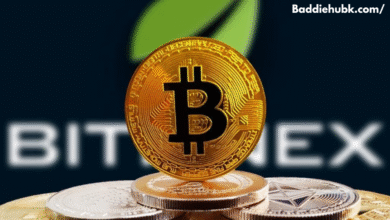 crypto30x.com bitcoin price