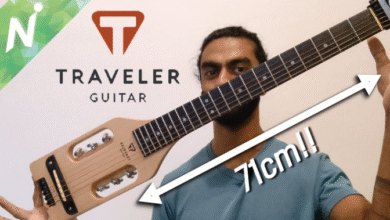 Traveler guitar guitar