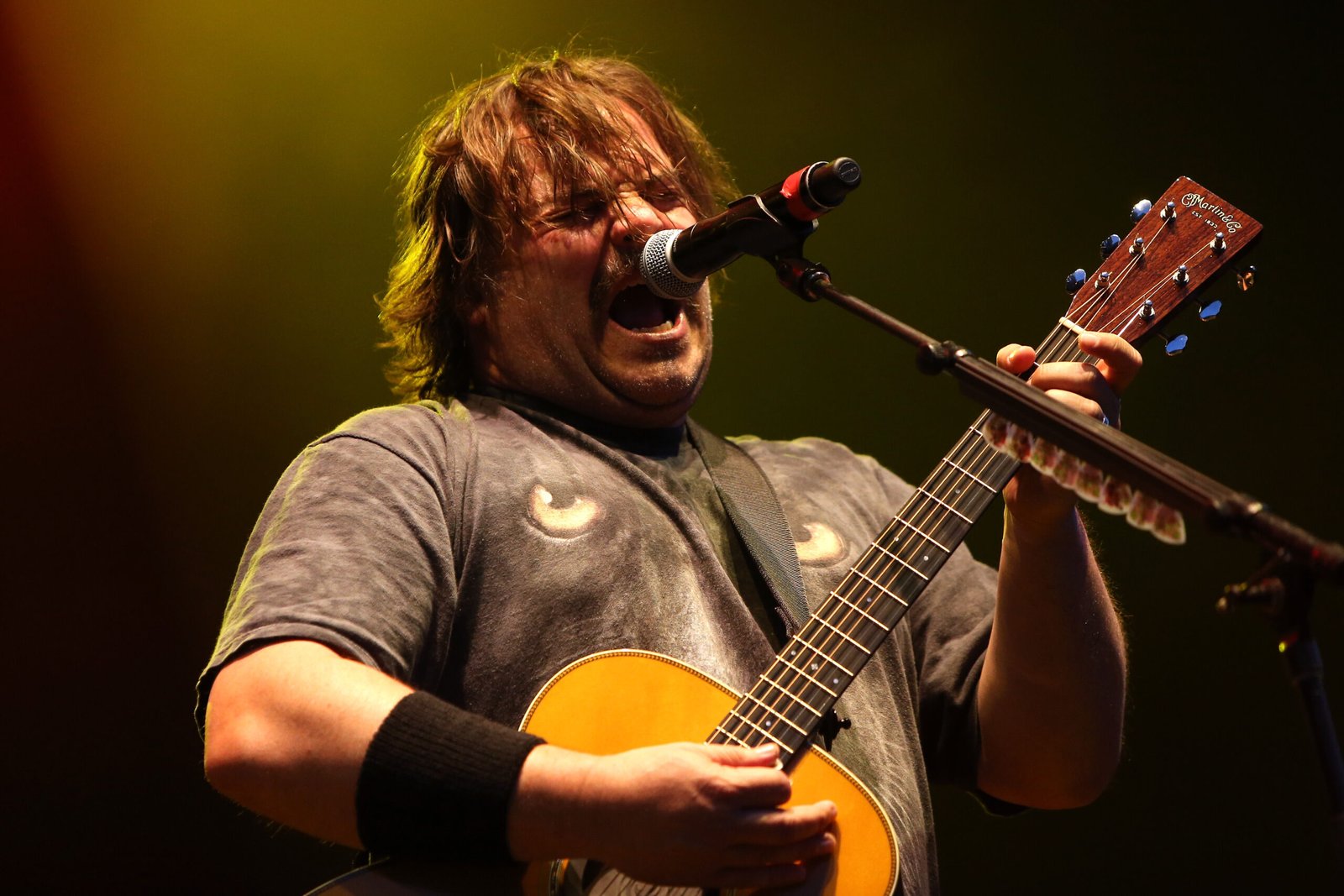 Jack Black Net Worth