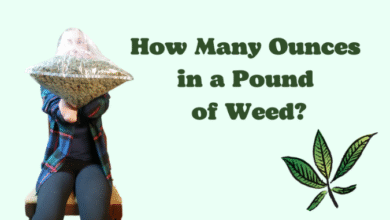 How many ounces in a pound