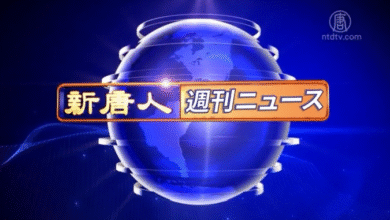ntdtvjp