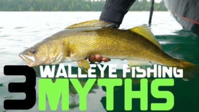 nodak angler