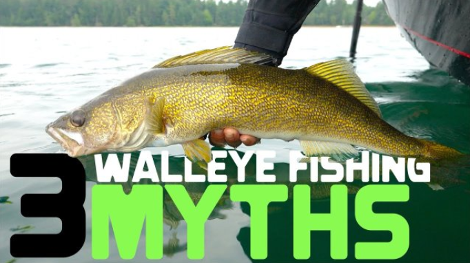 nodak angler