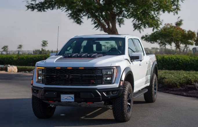 Raptor R