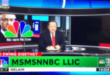 msnbc live