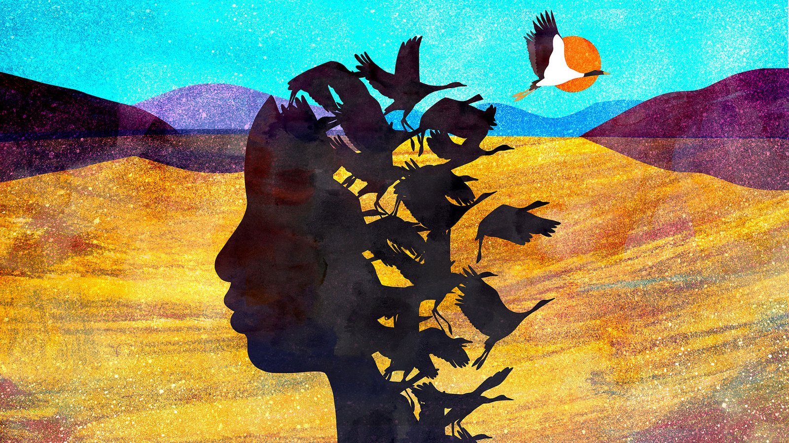 Freedom, Memories, and the Power of Actions: Understanding Life’s Most Subtle Lessons